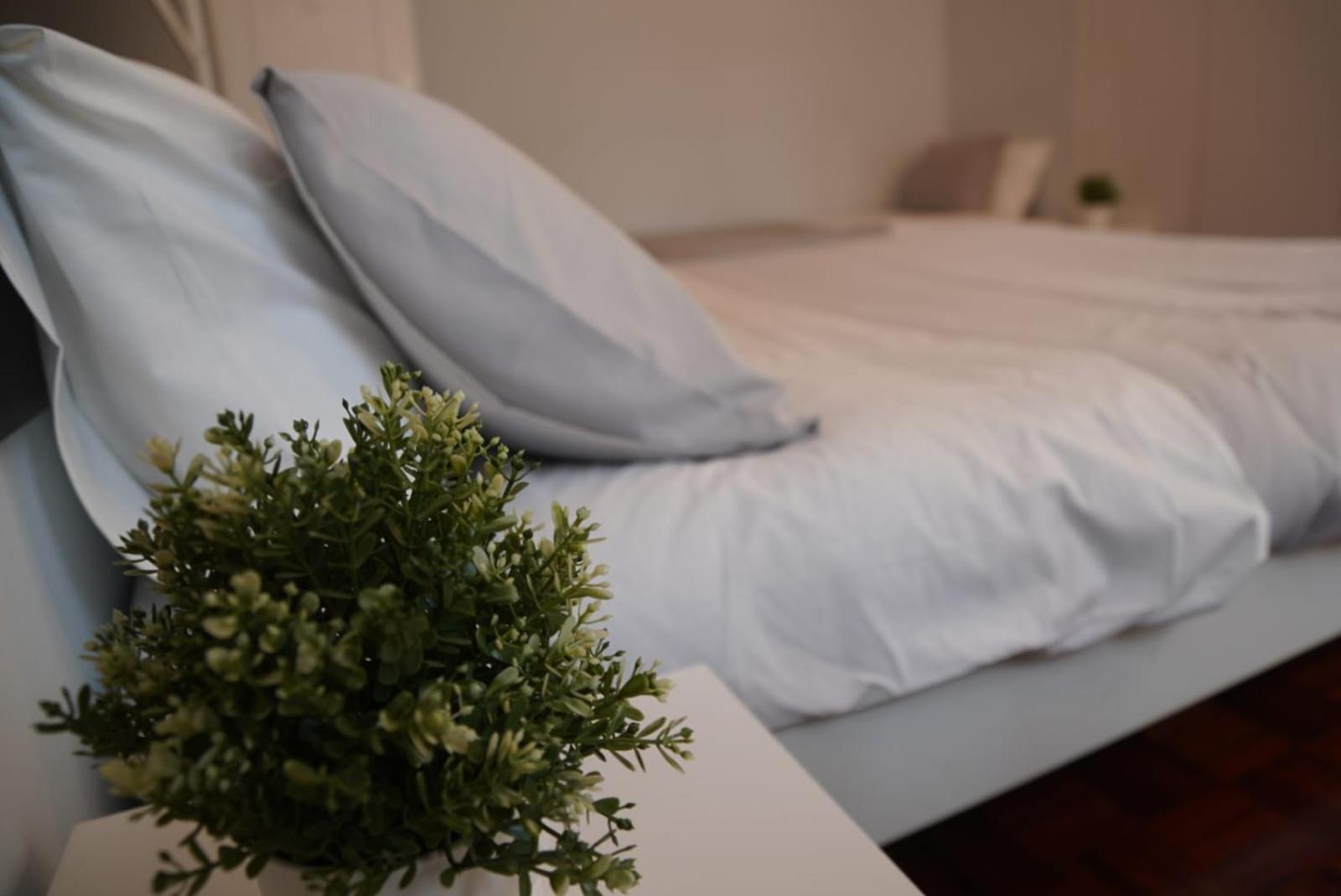 Bisengototo Homestay Lisboa Exteriér fotografie